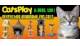 CatsPlay.com Promo Codes 2025