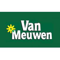 Van Meuwen