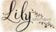 Lily Boutique Promo Codes 2025